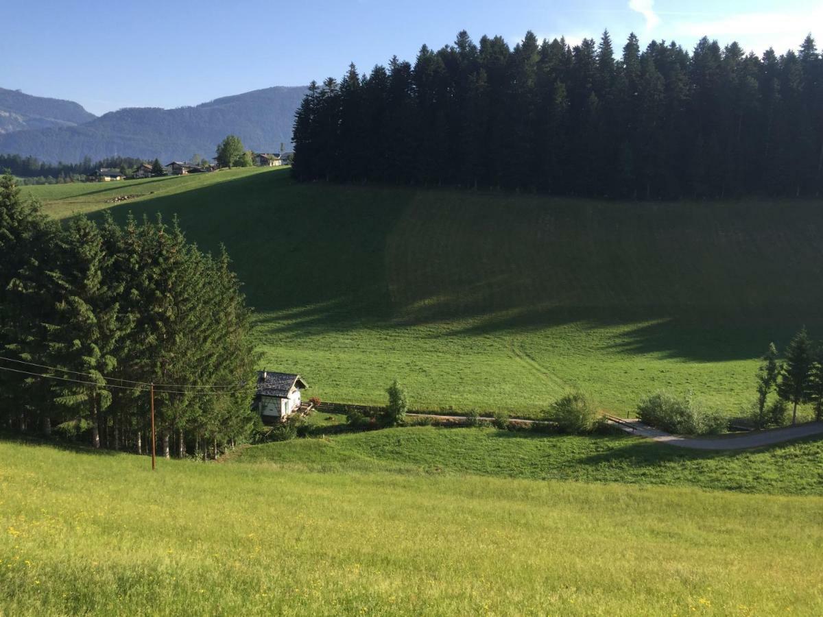 Haus Sperleiten Abtenau Exteriér fotografie